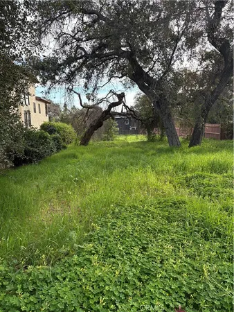 a view of an outdoor space with a tree