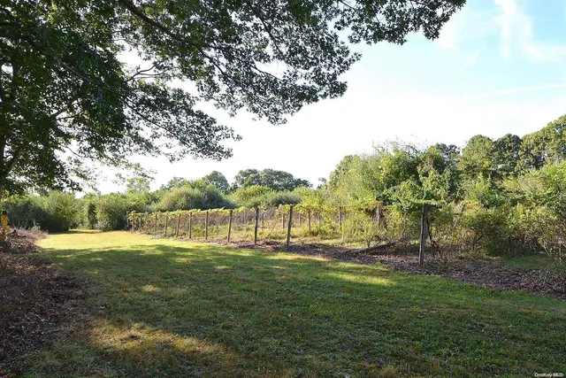 a backyard of a house with lots of green space