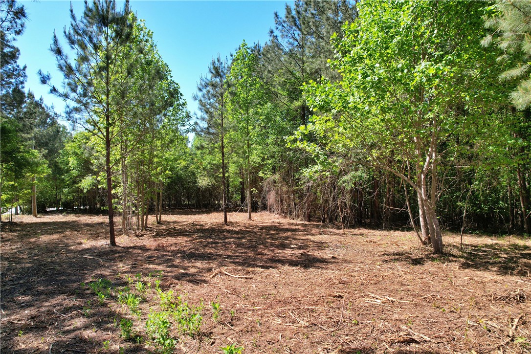 Lot 134 Mcalister Rd Union West Union, SC 29696 - Photo 41 of 43 This expansive, verdant lot offers a peaceful sanctuary amidst mature trees.