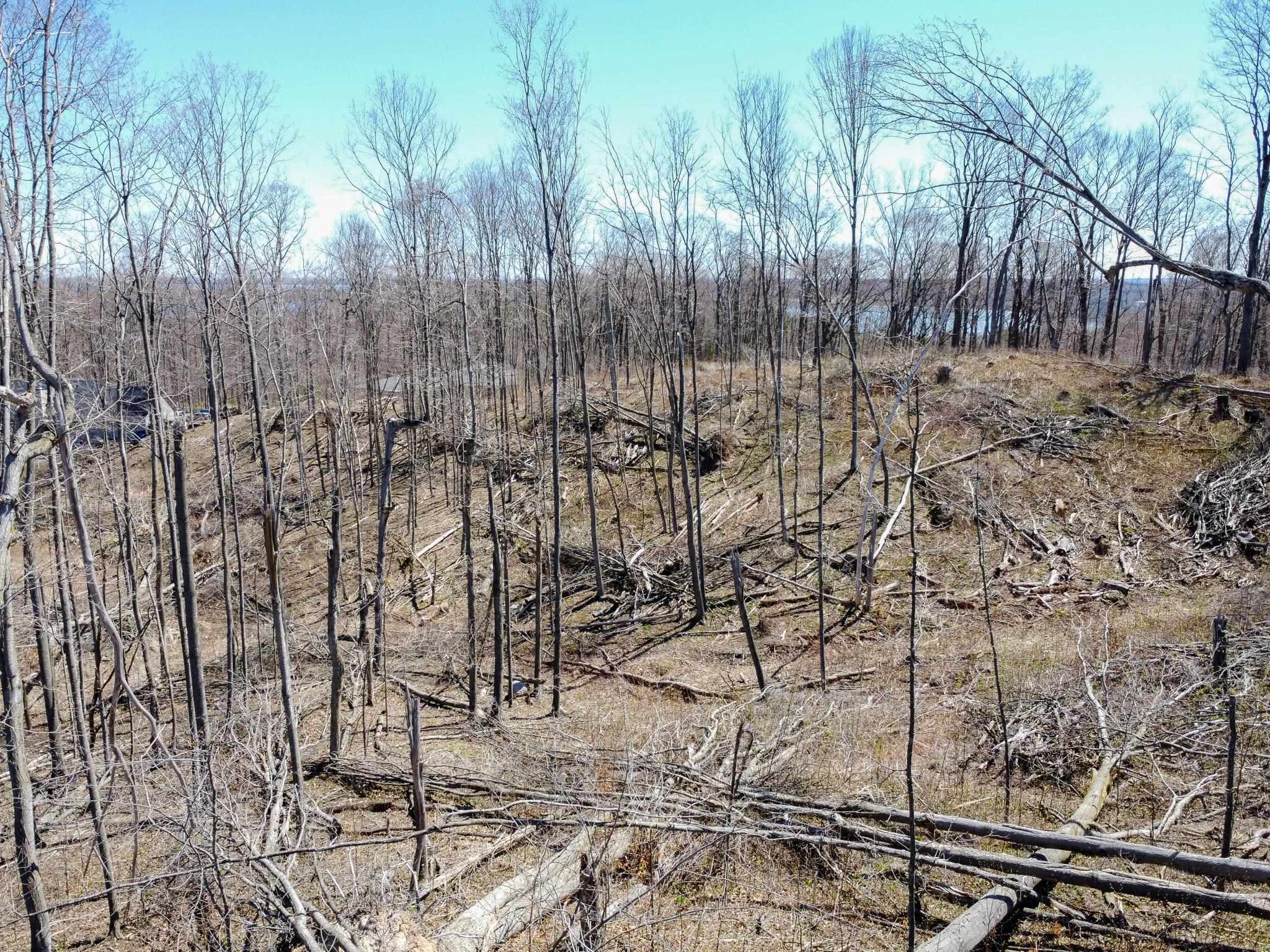 0 East Smiseth Road Suttons Bay, MI 49682 - Photo 44 of 67