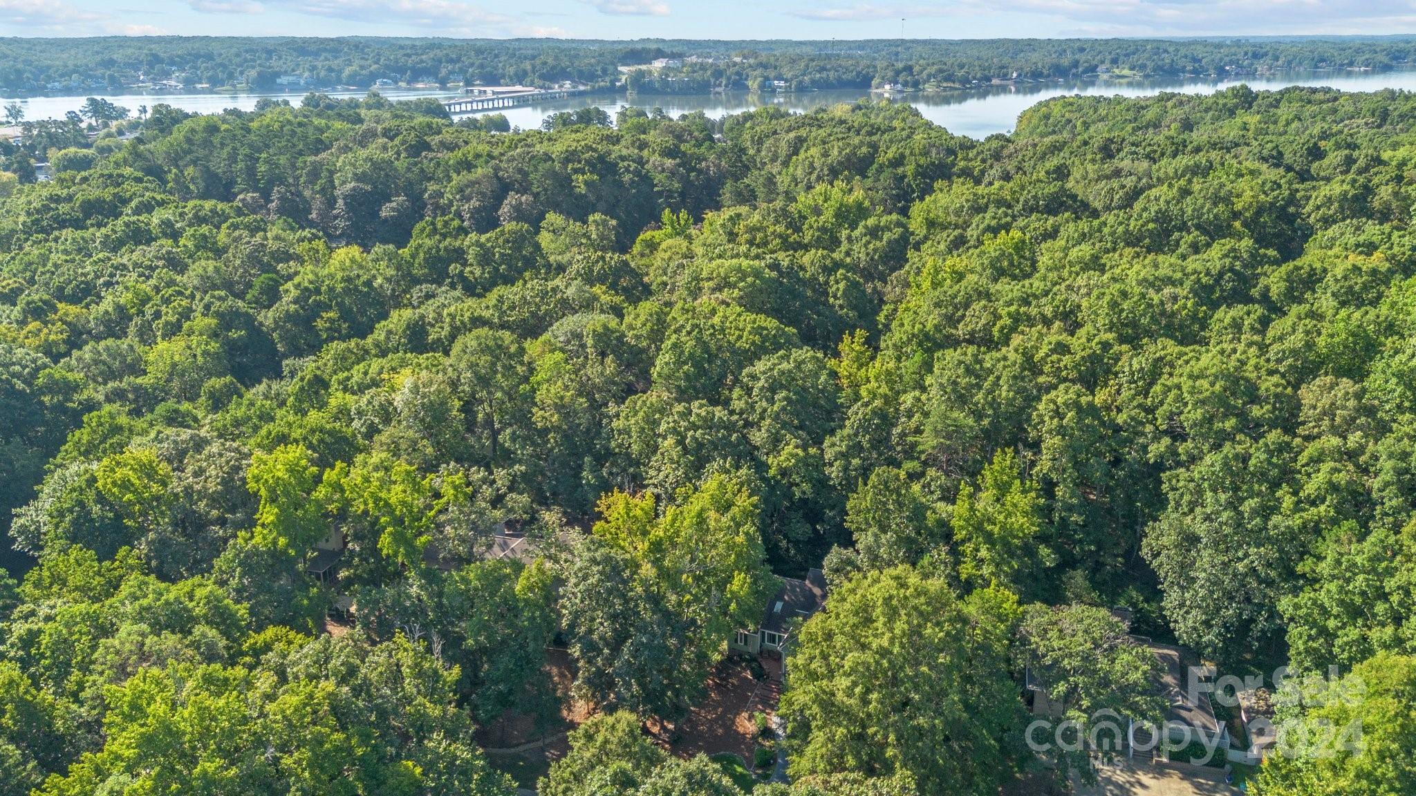 10 Tanglewood Road Clover, SC 29710 - Photo 37 of 48 Gallery Image 37