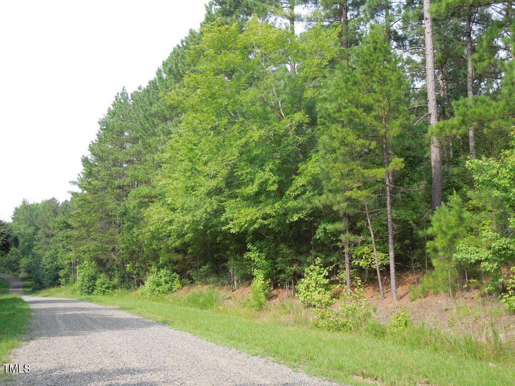 0 Webb Chapel Road Oxford, NC 27565 - Photo 1 of 17 a view of a yard