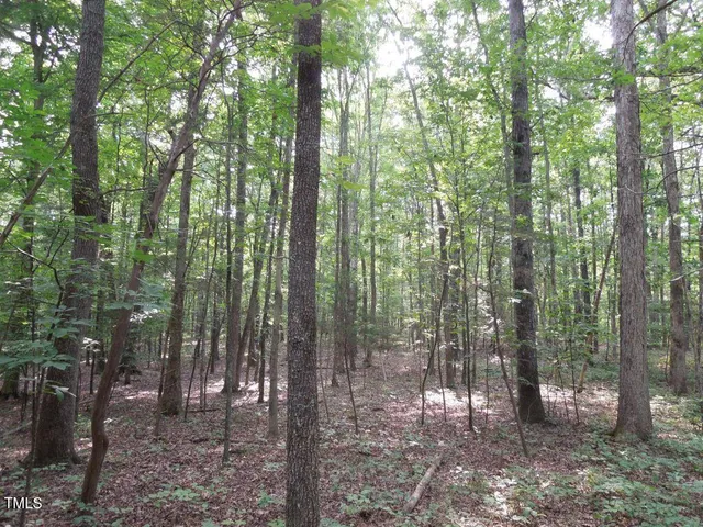 a view of outdoor space and green space