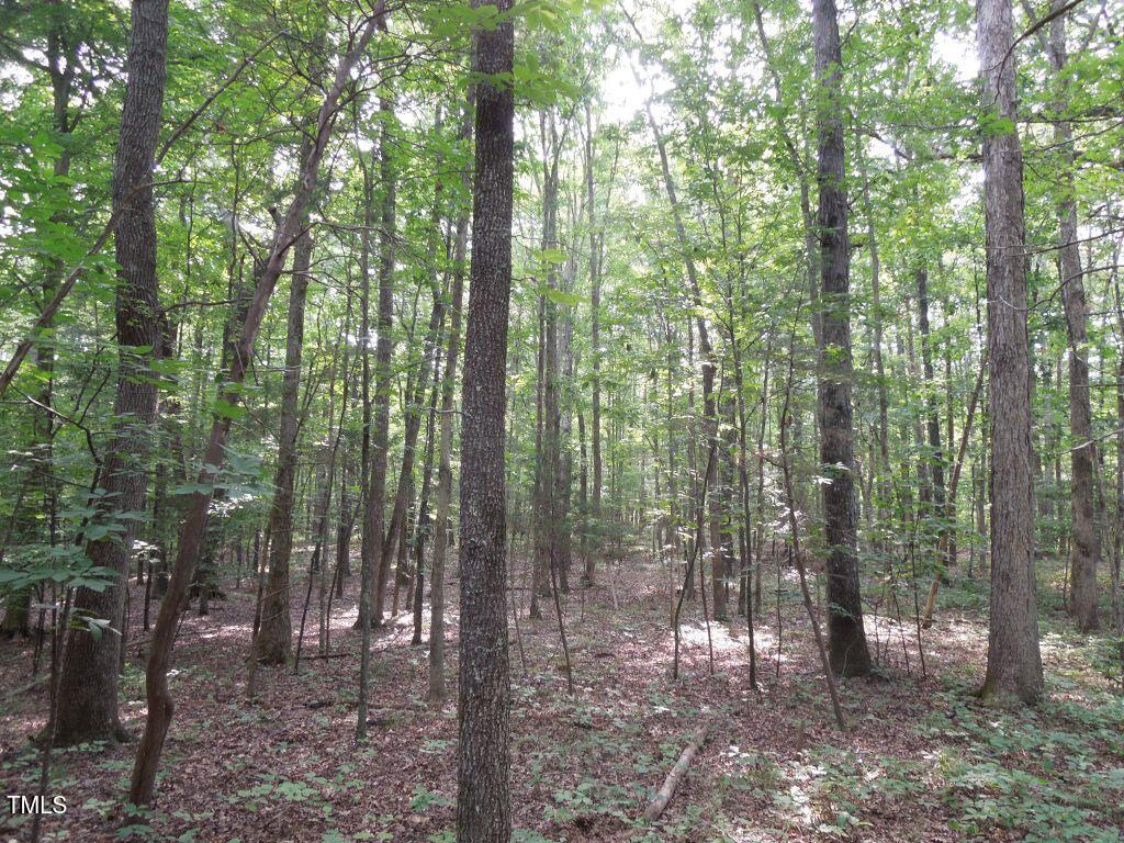 0 Webb Chapel Road Oxford, NC 27565 - Photo 12 of 17 a view of outdoor space and green space