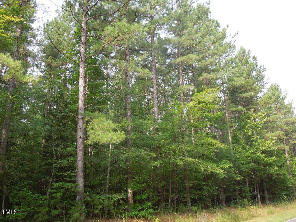 0 Webb Chapel Road Oxford, NC 27565 - Photo 5 of 17 a view of a forest that has a tree