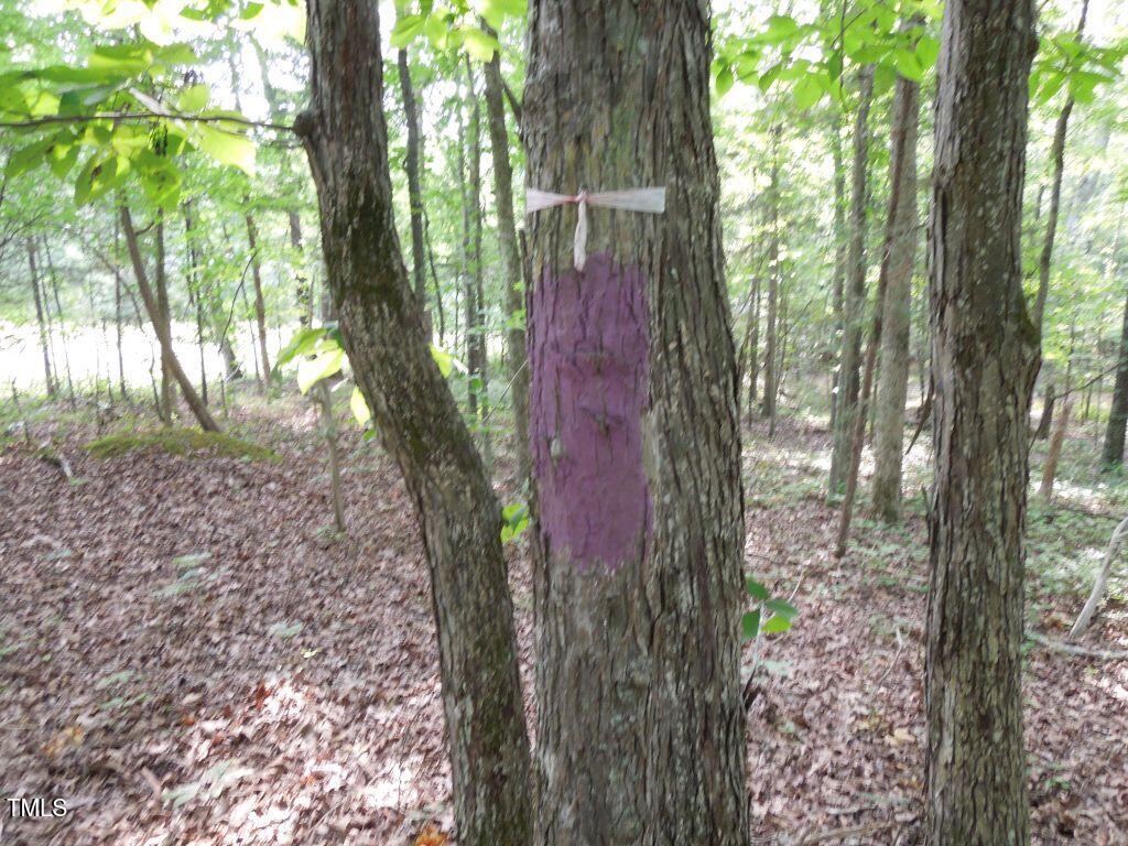 0 Webb Chapel Road Oxford, NC 27565 - Photo 9 of 17 a view of a yard with large trees