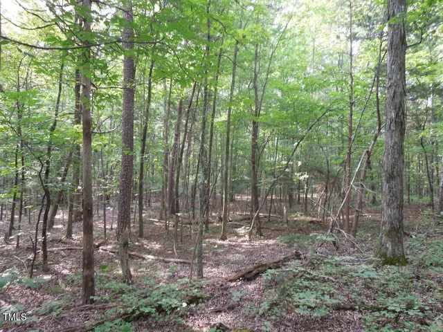 a view of outdoor space and green space