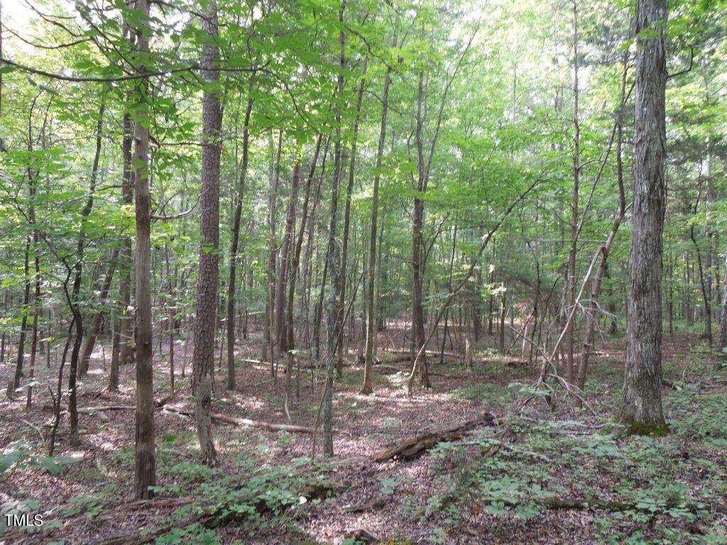 0 Webb Chapel Road Oxford, NC 27565 - Photo 10 of 17 a view of outdoor space and green space