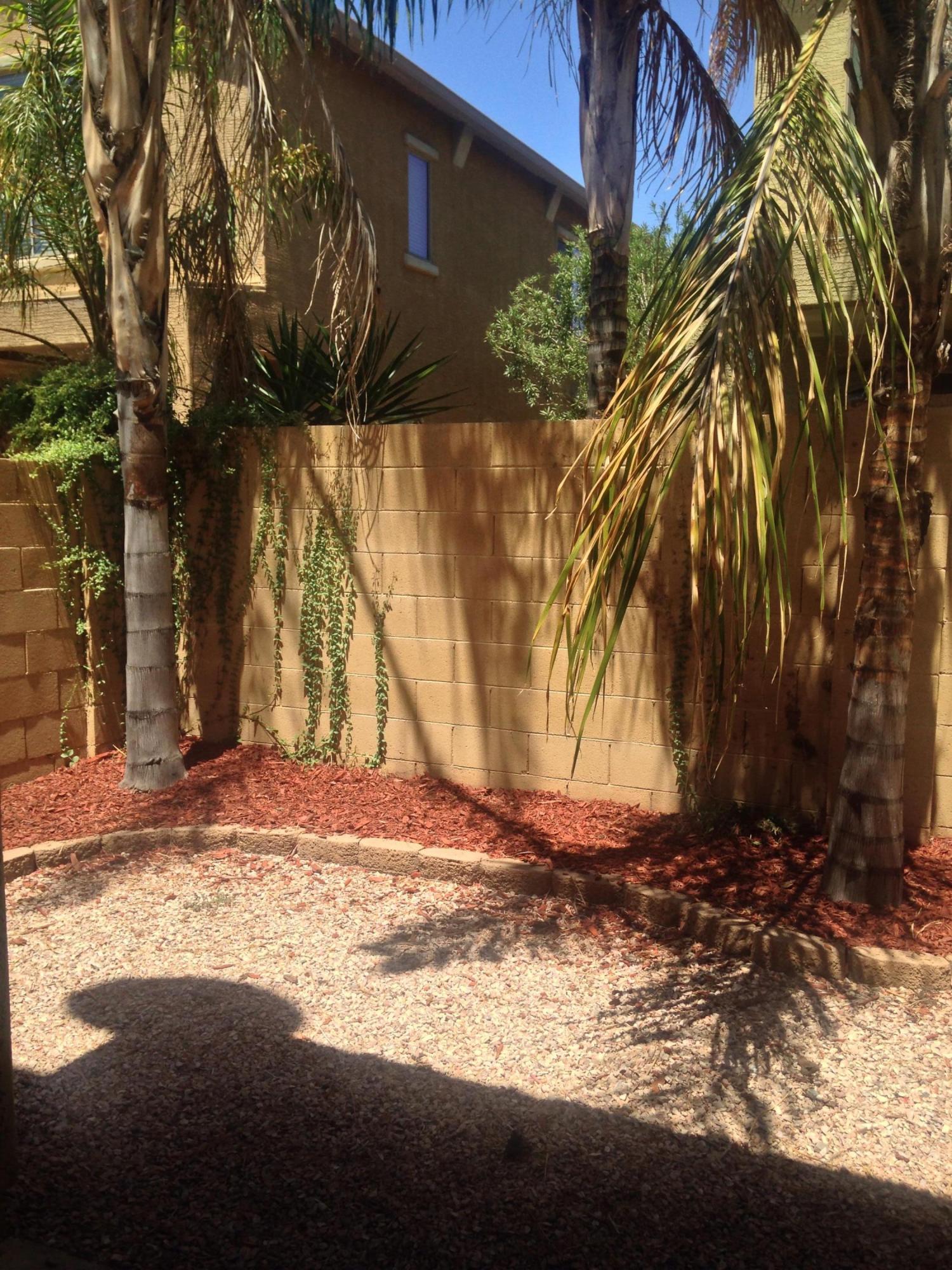 2150 East Bell Road, Unit 1156 Phoenix, AZ 85022 - Photo 19 of 19 Back yard