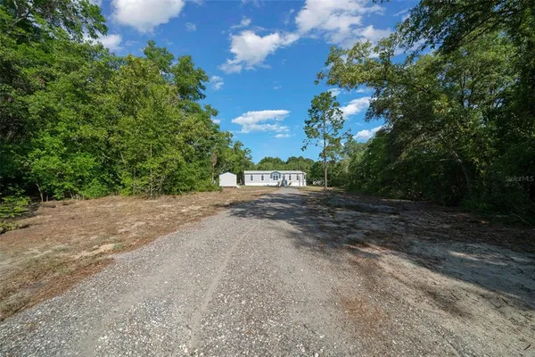 a view of a yard with a tree