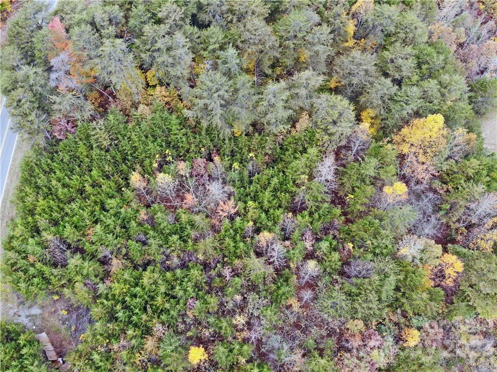 5342 Hope Road Vale, NC 28168 - Photo 1 of 39 a view of a lush green forest