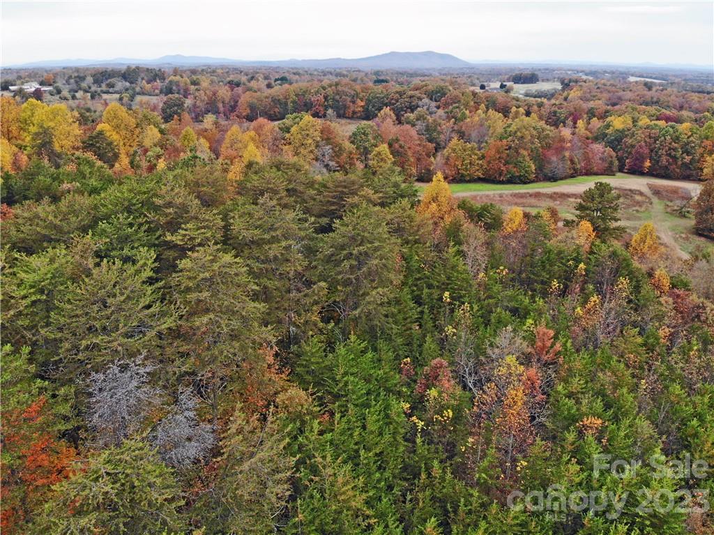 5342 Hope Road Vale, NC 28168 - Photo 11 of 39 an aerial view of residential houses with outdoor space and trees