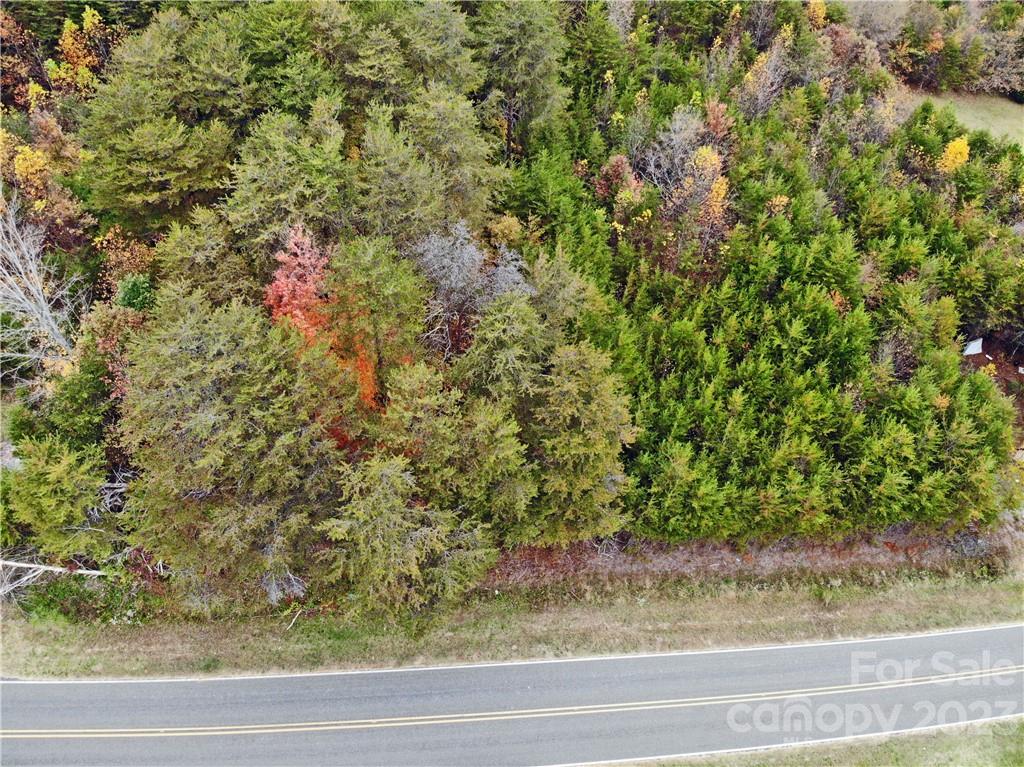 5342 Hope Road Vale, NC 28168 - Photo 12 of 39 a view of a yard with a plants and trees