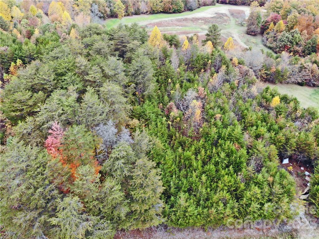 5342 Hope Road Vale, NC 28168 - Photo 13 of 39 a view of a yard