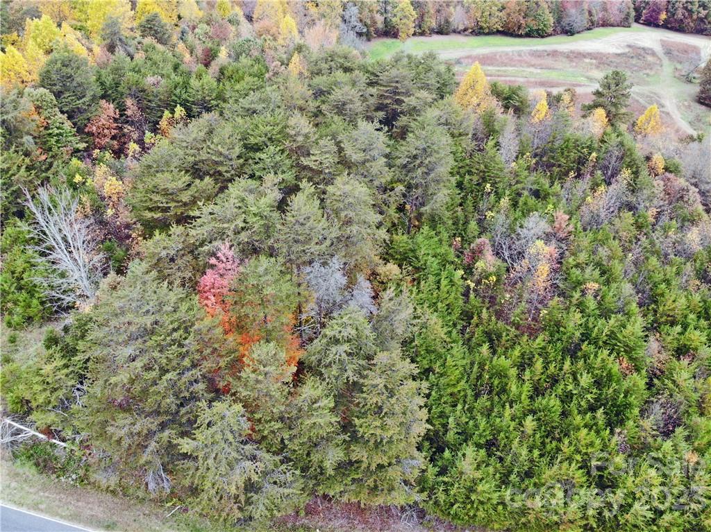 5342 Hope Road Vale, NC 28168 - Photo 14 of 39 a view of a yard with a tree