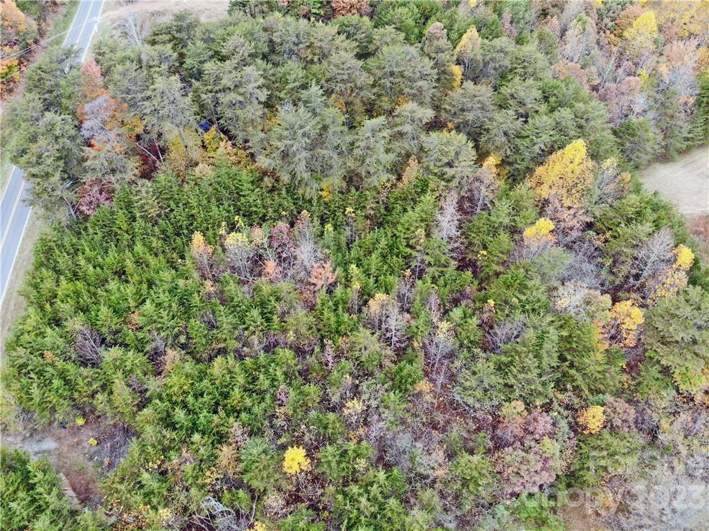 5342 Hope Road Vale, NC 28168 - Photo 15 of 39 a view of a forest with a tree