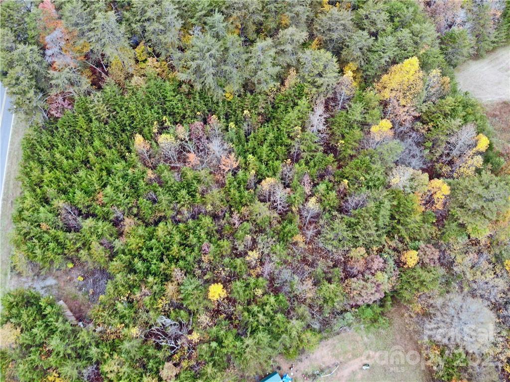 5342 Hope Road Vale, NC 28168 - Photo 16 of 39 a view of a lush green forest