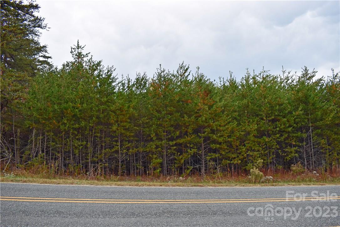 5342 Hope Road Vale, NC 28168 - Photo 20 of 39 a view of a yard
