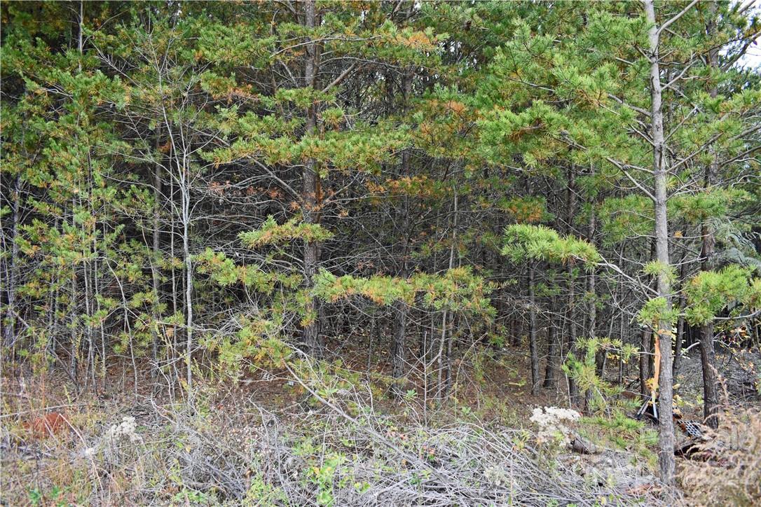 5342 Hope Road Vale, NC 28168 - Photo 21 of 39 a backyard of a house with lots of green space