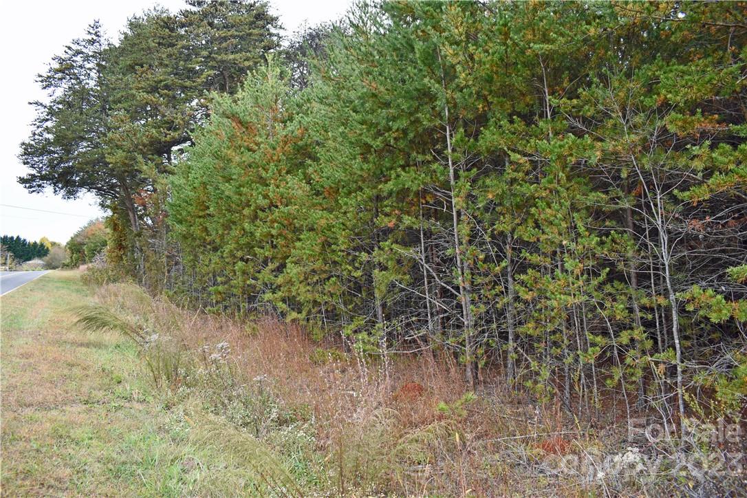 5342 Hope Road Vale, NC 28168 - Photo 22 of 39 a view of a yard with a tree