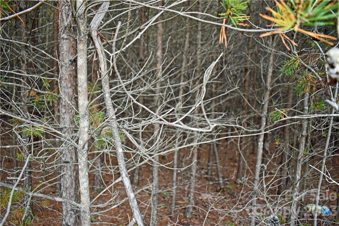 5342 Hope Road Vale, NC 28168 - Photo 23 of 39 a close up of a shower