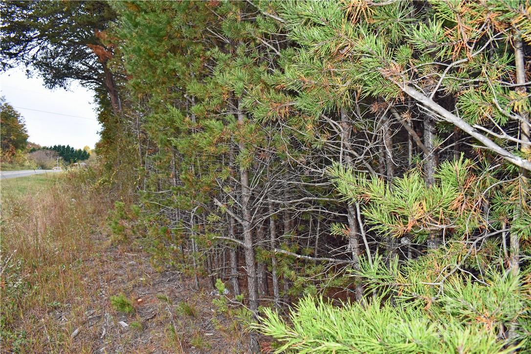 5342 Hope Road Vale, NC 28168 - Photo 24 of 39 a view of a garden