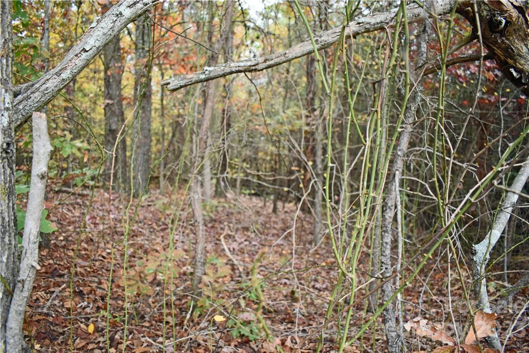 5342 Hope Road Vale, NC 28168 - Photo 25 of 39 a bathroom with a shower curtain