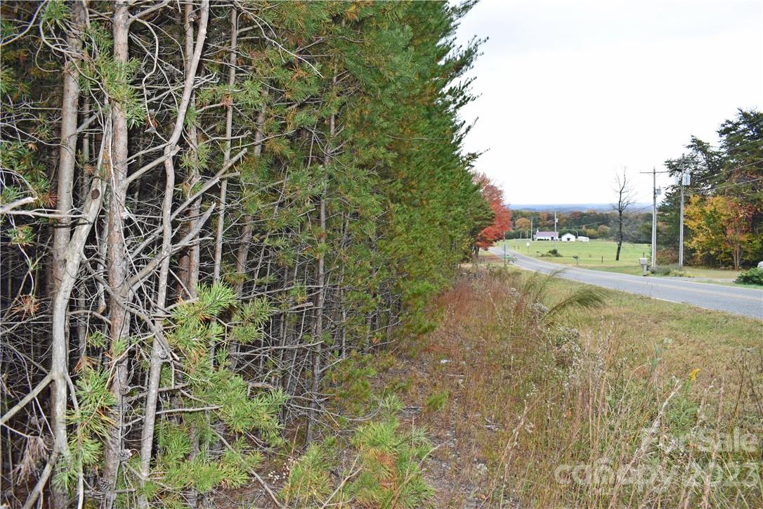 5342 Hope Road Vale, NC 28168 - Photo 27 of 39 a view of a yard with an trees