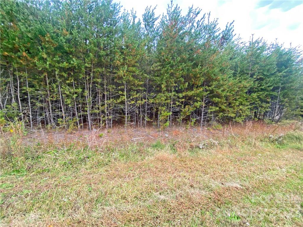 5342 Hope Road Vale, NC 28168 - Photo 29 of 39 a view of outdoor space with a lake view