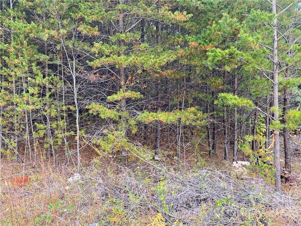 5342 Hope Road Vale, NC 28168 - Photo 30 of 39 a backyard of a house with lots of green space
