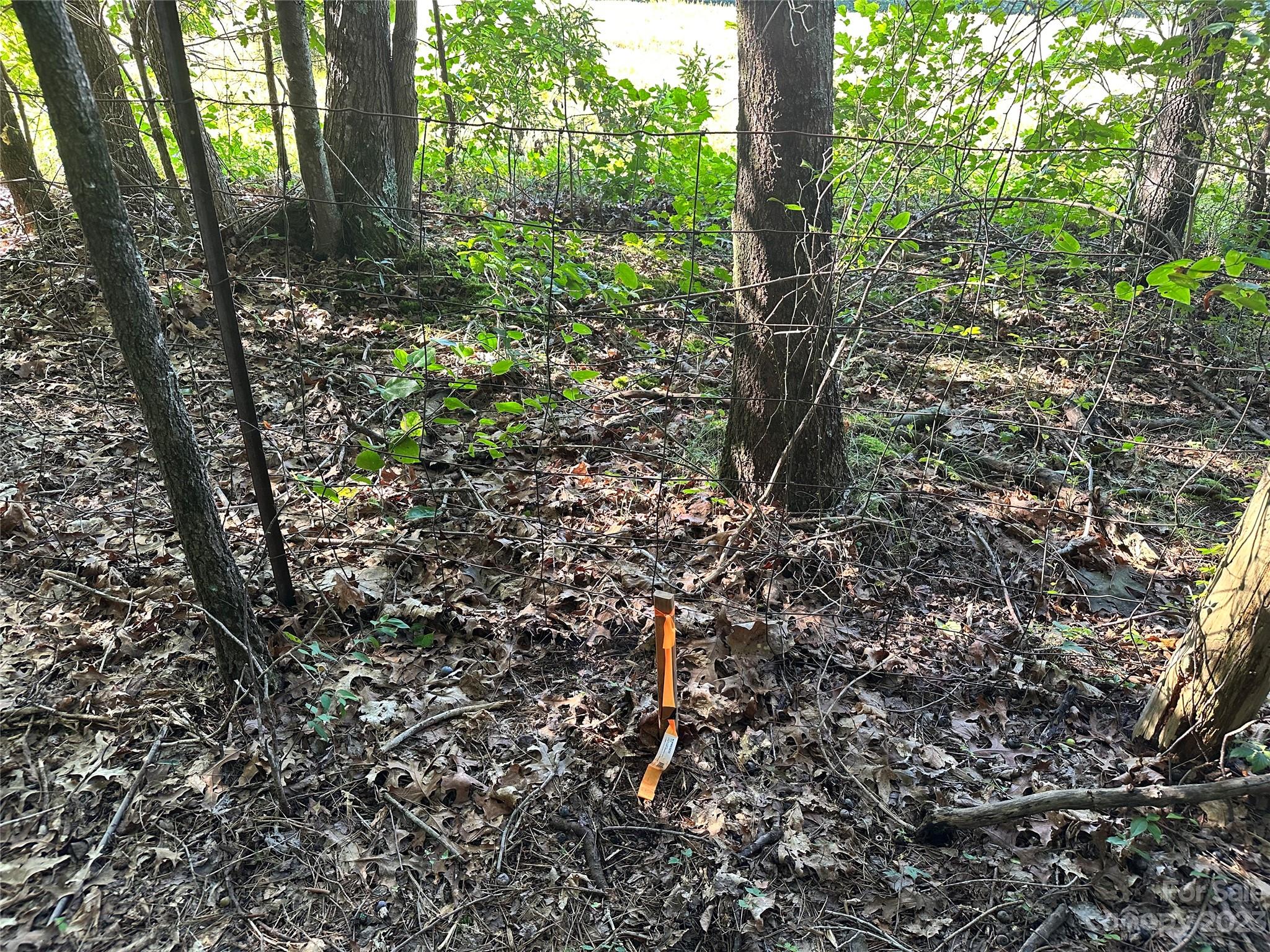 5342 Hope Road Vale, NC 28168 - Photo 35 of 39 a view of forest