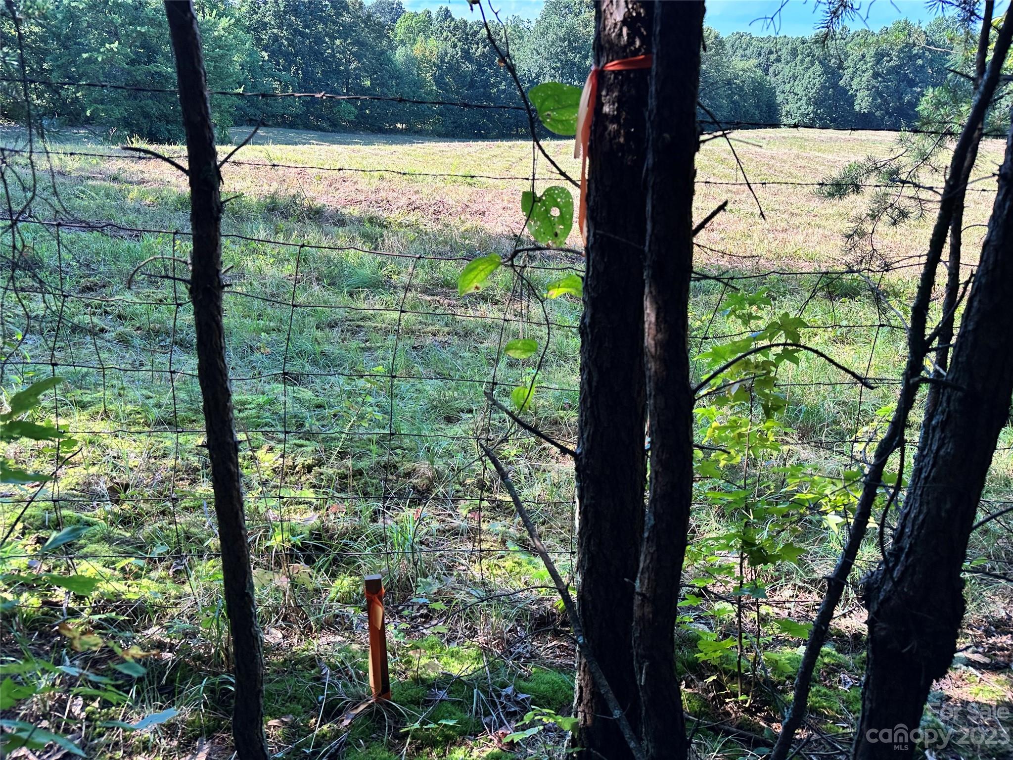 5342 Hope Road Vale, NC 28168 - Photo 36 of 39 a view of outdoor from window