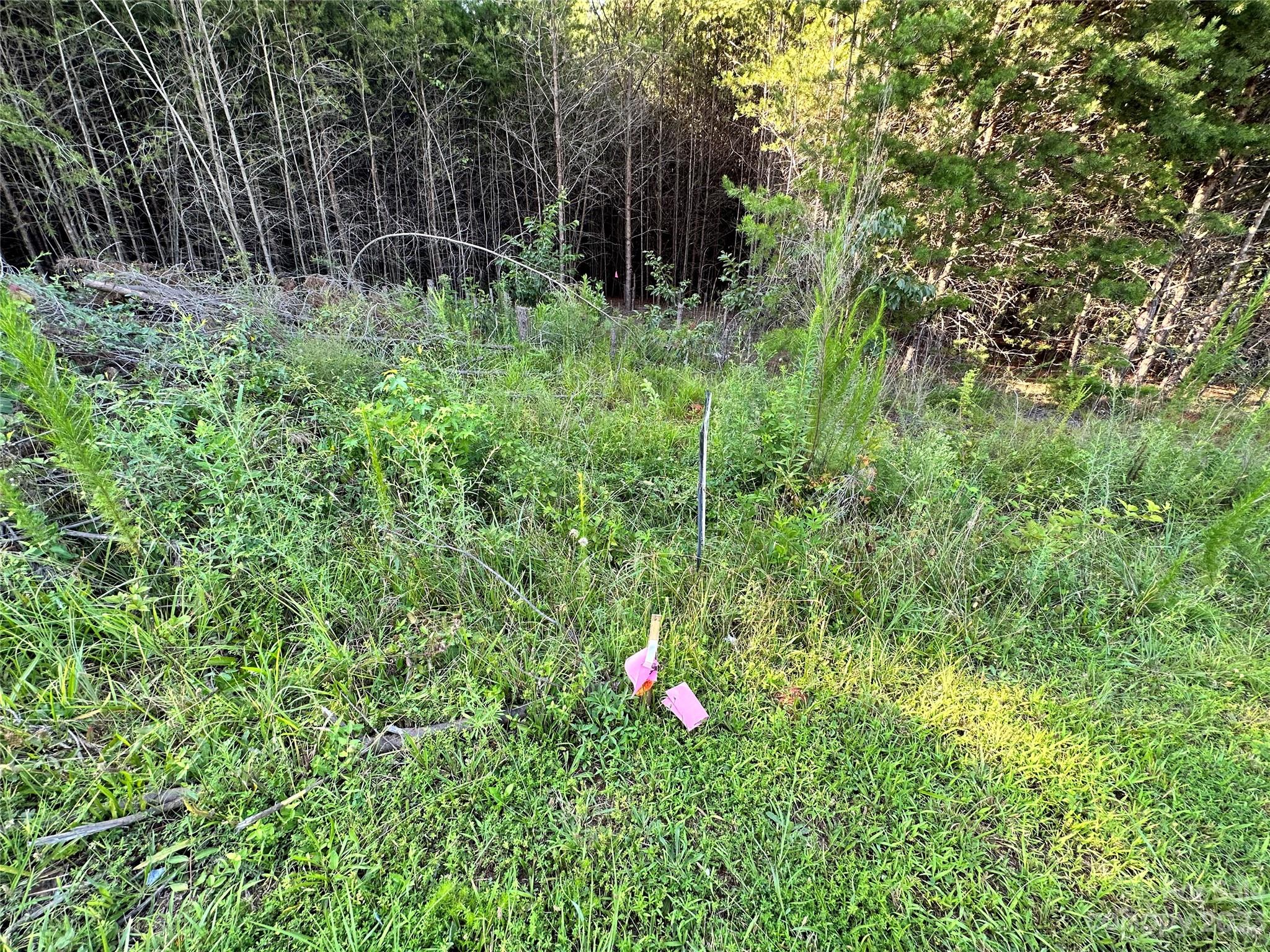 5342 Hope Road Vale, NC 28168 - Photo 38 of 39 a backyard of a house with lawn chairs and plants