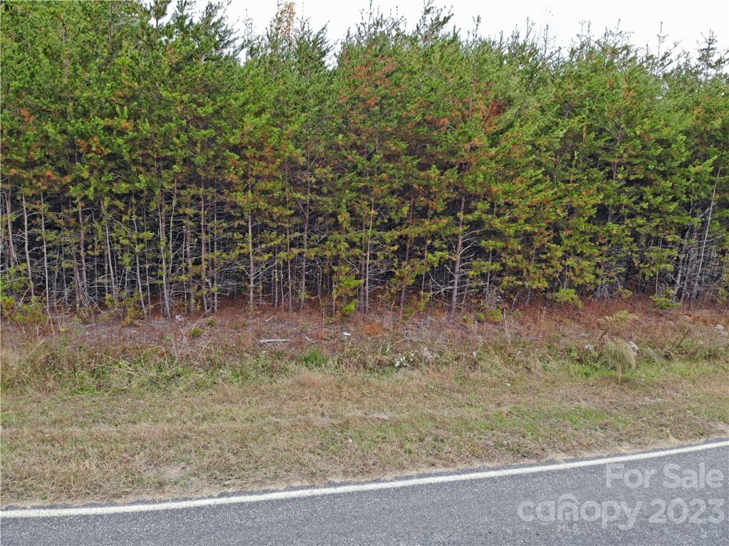 5342 Hope Road Vale, NC 28168 - Photo 4 of 39 a view of a yard with large trees