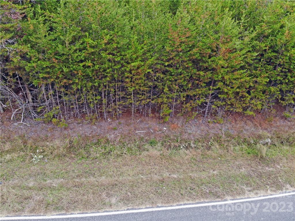 5342 Hope Road Vale, NC 28168 - Photo 5 of 39 a view of a yard with a tree
