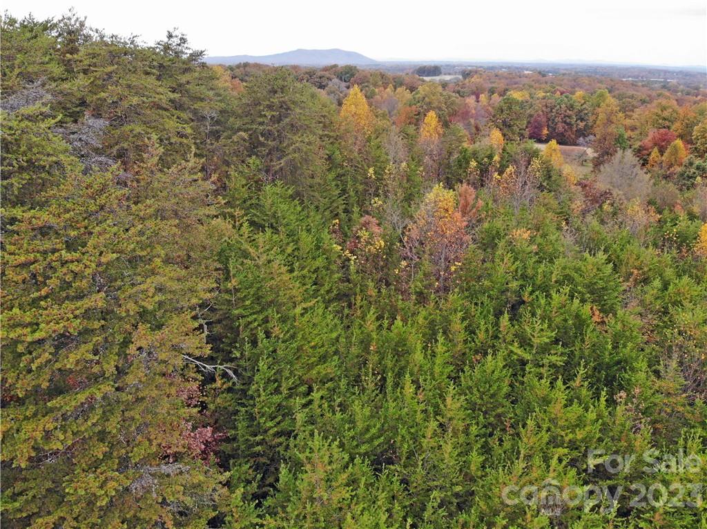 5342 Hope Road Vale, NC 28168 - Photo 6 of 39 a view of a city with lush green forest