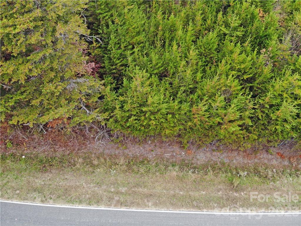 5342 Hope Road Vale, NC 28168 - Photo 7 of 39 a view of a yard with plants