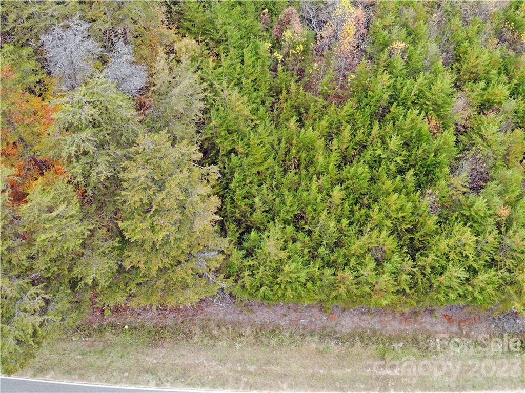 5342 Hope Road Vale, NC 28168 - Photo 8 of 39 a close up of a plant in a yard