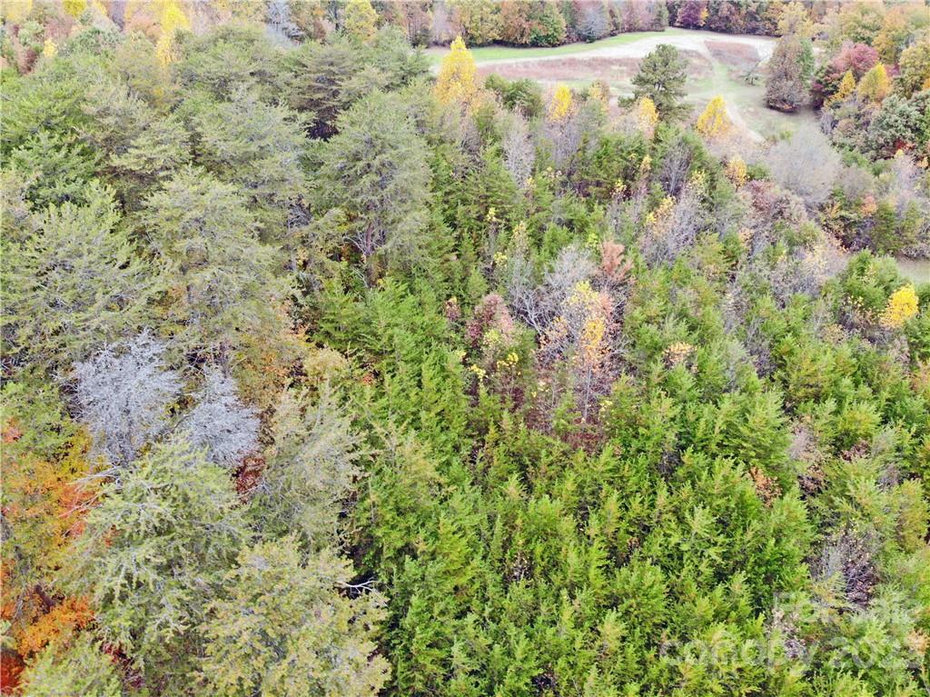 5342 Hope Road Vale, NC 28168 - Photo 9 of 39 a view of a yard
