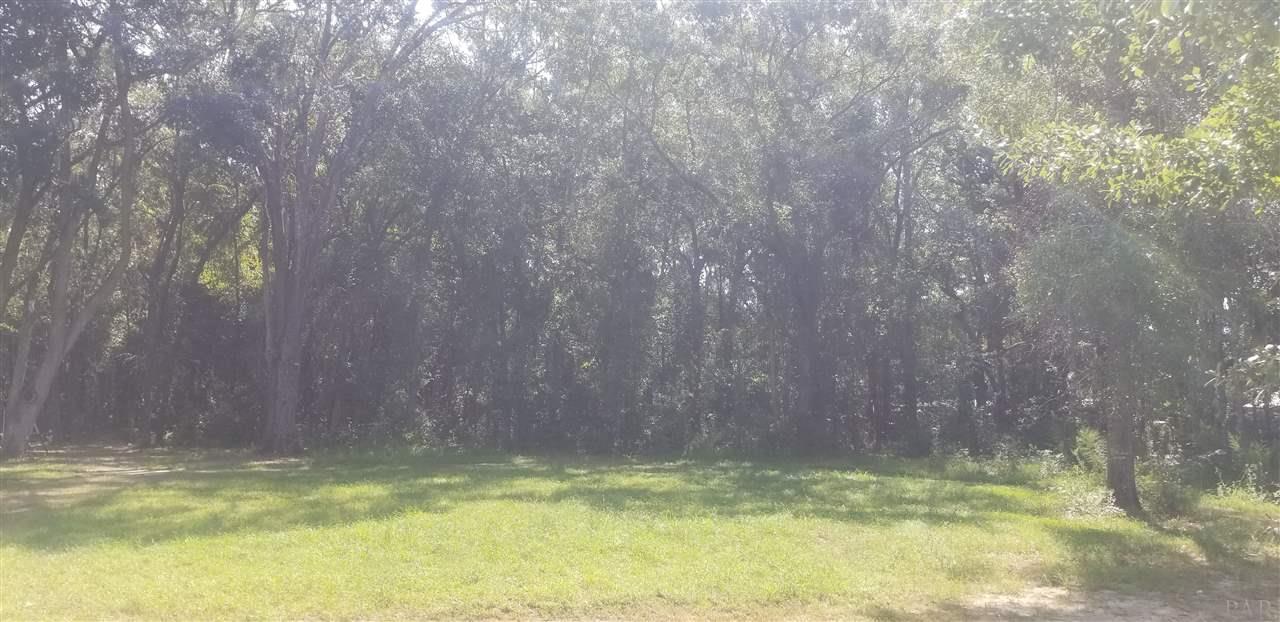 0 Trinity Lane Pace, FL 32571 - Photo 3 of 6