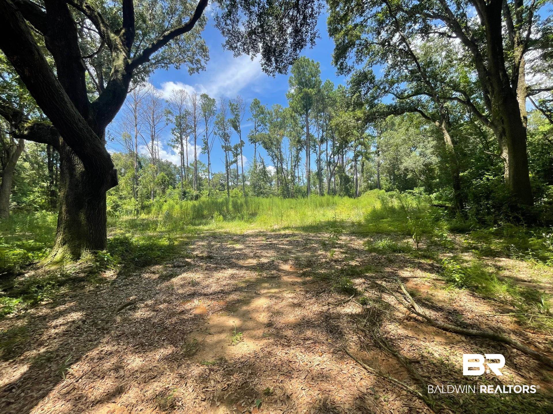 12293 Comalander Road Fairhope, AL 36532 - Photo 2 of 12 View of nature