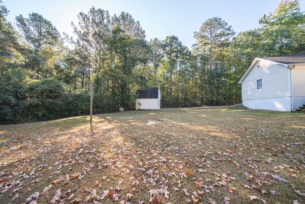 200 Lake Amah Lee Road Hampton, GA 30228 - Photo 4 of 29 a backyard of a house with lots of green space