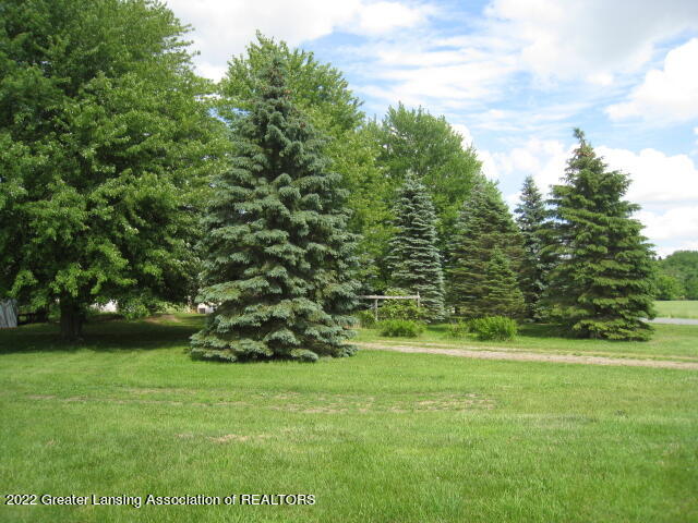 375 East Frost Road Mason, MI 48854 - Photo 22 of 22 IMG_5838