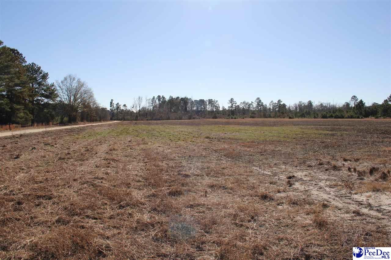 0 Country Manor Road Lamar, SC 29069 - Photo 9 of 15 Gallery Image 9