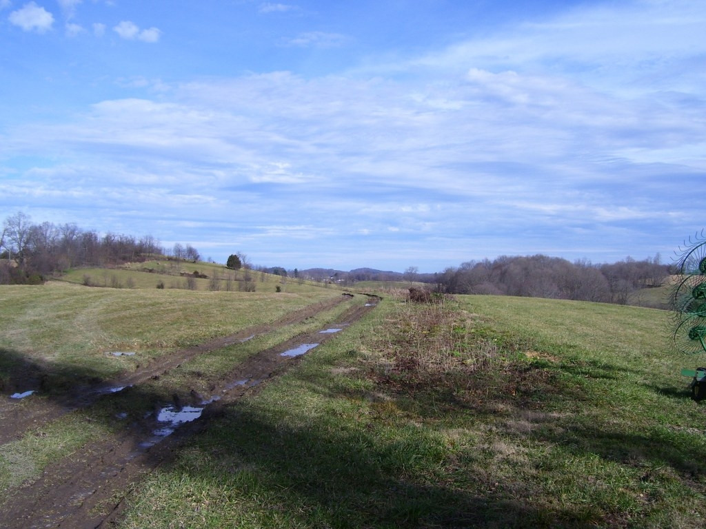 0 Bucks Bridge Road Glade Spring, VA 24340 - Photo 2 of 10 Photo 2