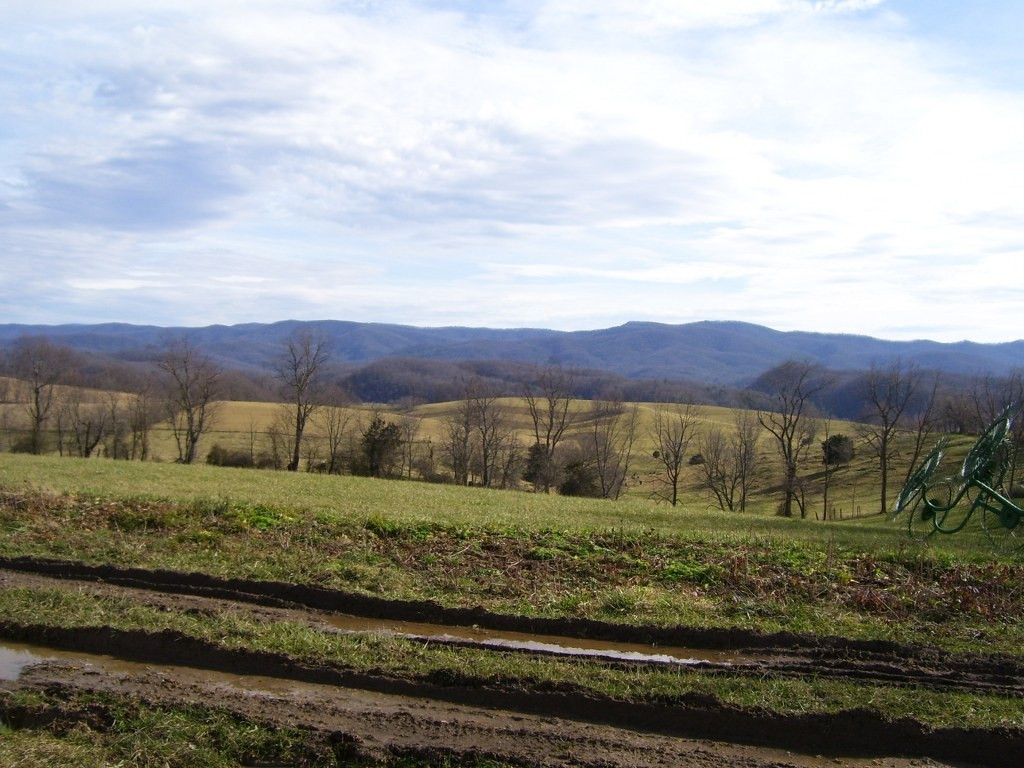 0 Bucks Bridge Road Glade Spring, VA 24340 - Photo 3 of 10 Photo 3