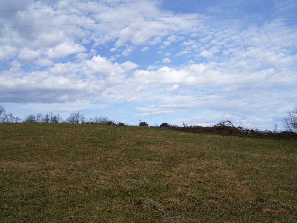 0 Bucks Bridge Road Glade Spring, VA 24340 - Photo 7 of 10 Photo 7