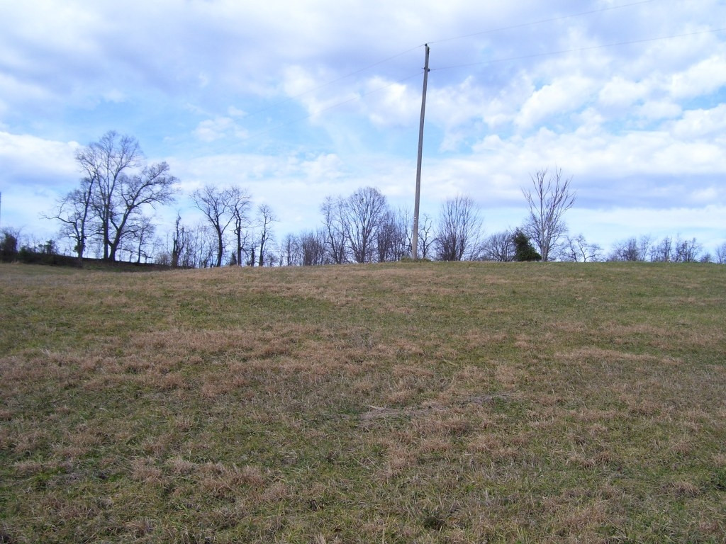 0 Bucks Bridge Road Glade Spring, VA 24340 - Photo 8 of 10 Photo 8