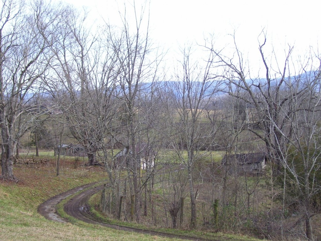 0 Bucks Bridge Road Glade Spring, VA 24340 - Photo 10 of 10 Photo 10