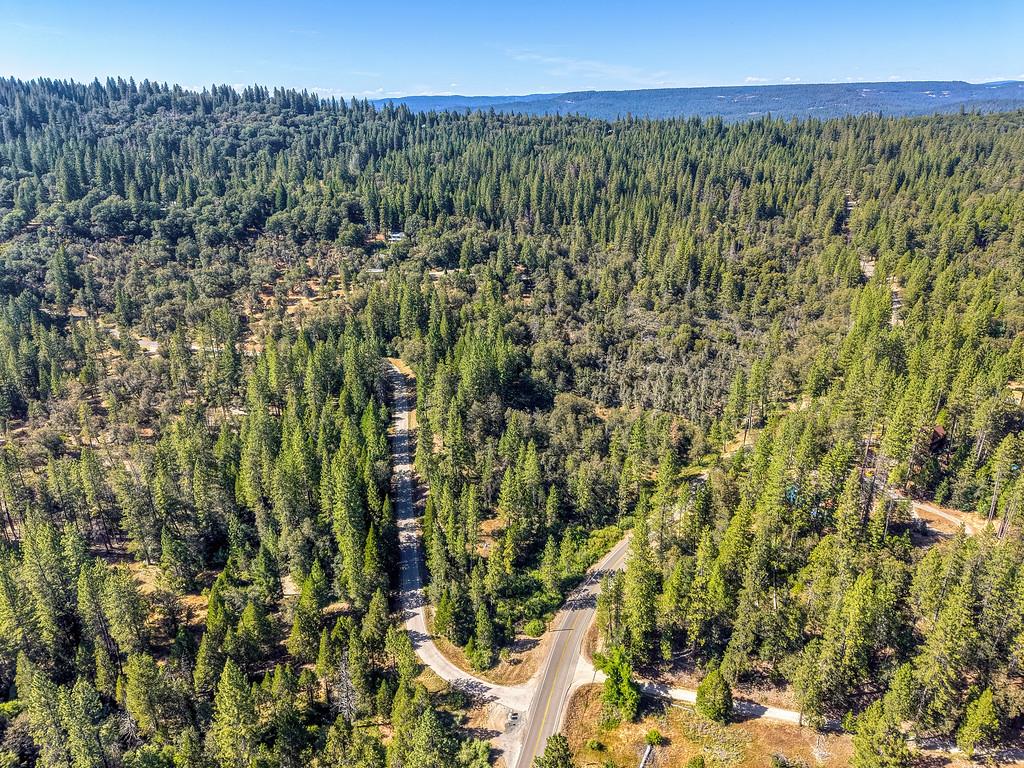 17008 Bloomfield Ridge Place Nevada City, CA 95959 - Photo 42 of 52